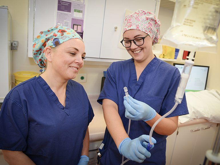 Bsn curriculum plan picture