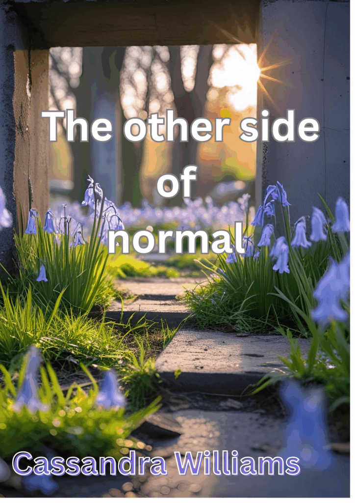Book cover for "The other side of normal" by Cassandra Williams